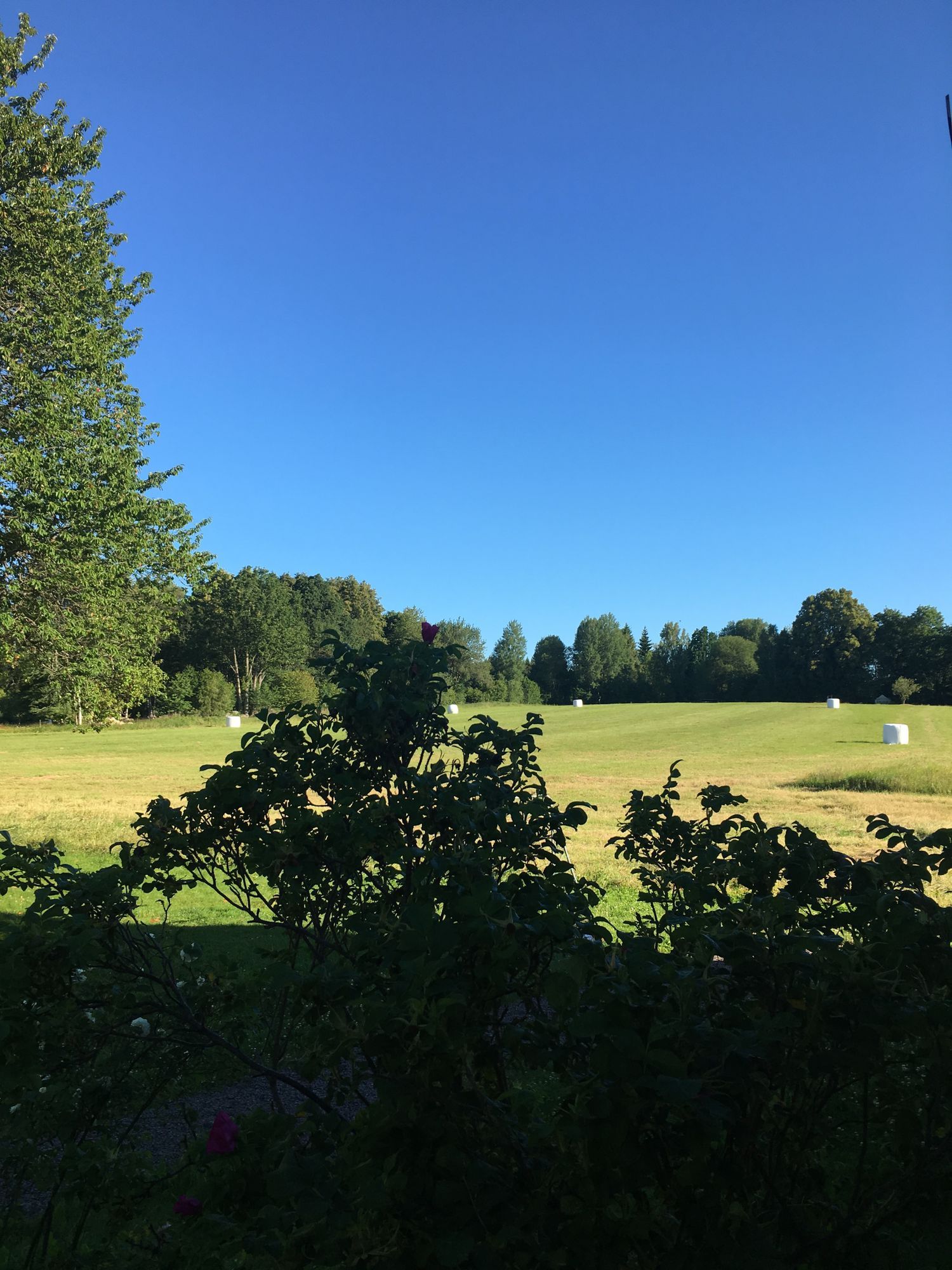 Nybyggd stuga i Småland – bild 15 av 18
