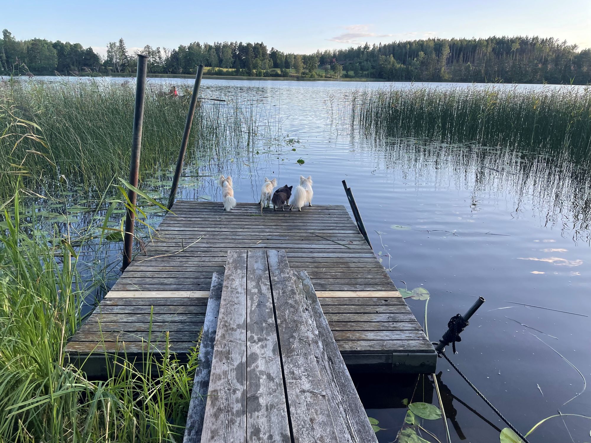 Gård vid sjö med egen bad & båtplats – bild 5 av 24