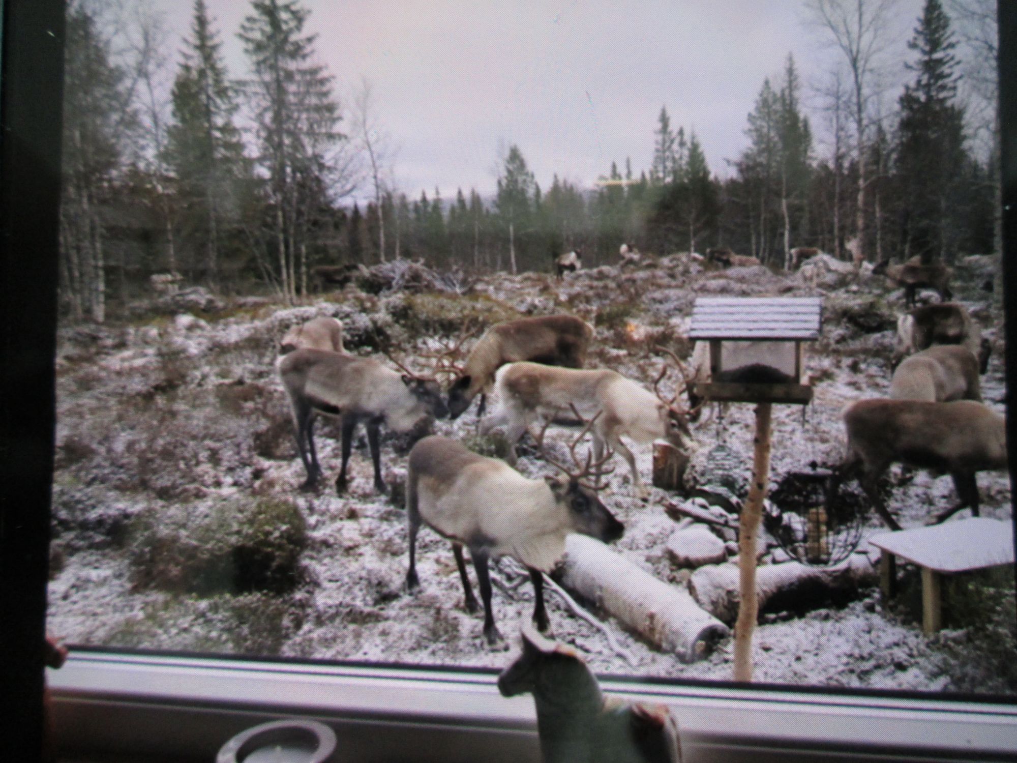 Stuga i Fjätervålen med 6 + 3 bäddar #30350 – bild 16 av 16