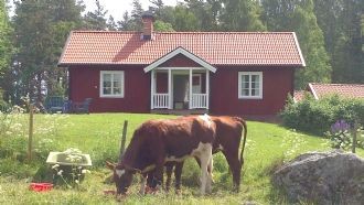 Stuga/torp i Sörmland,enskilt läge, vid sjö