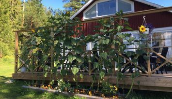 Charmig stuga med avskilt läge, badplats och båt