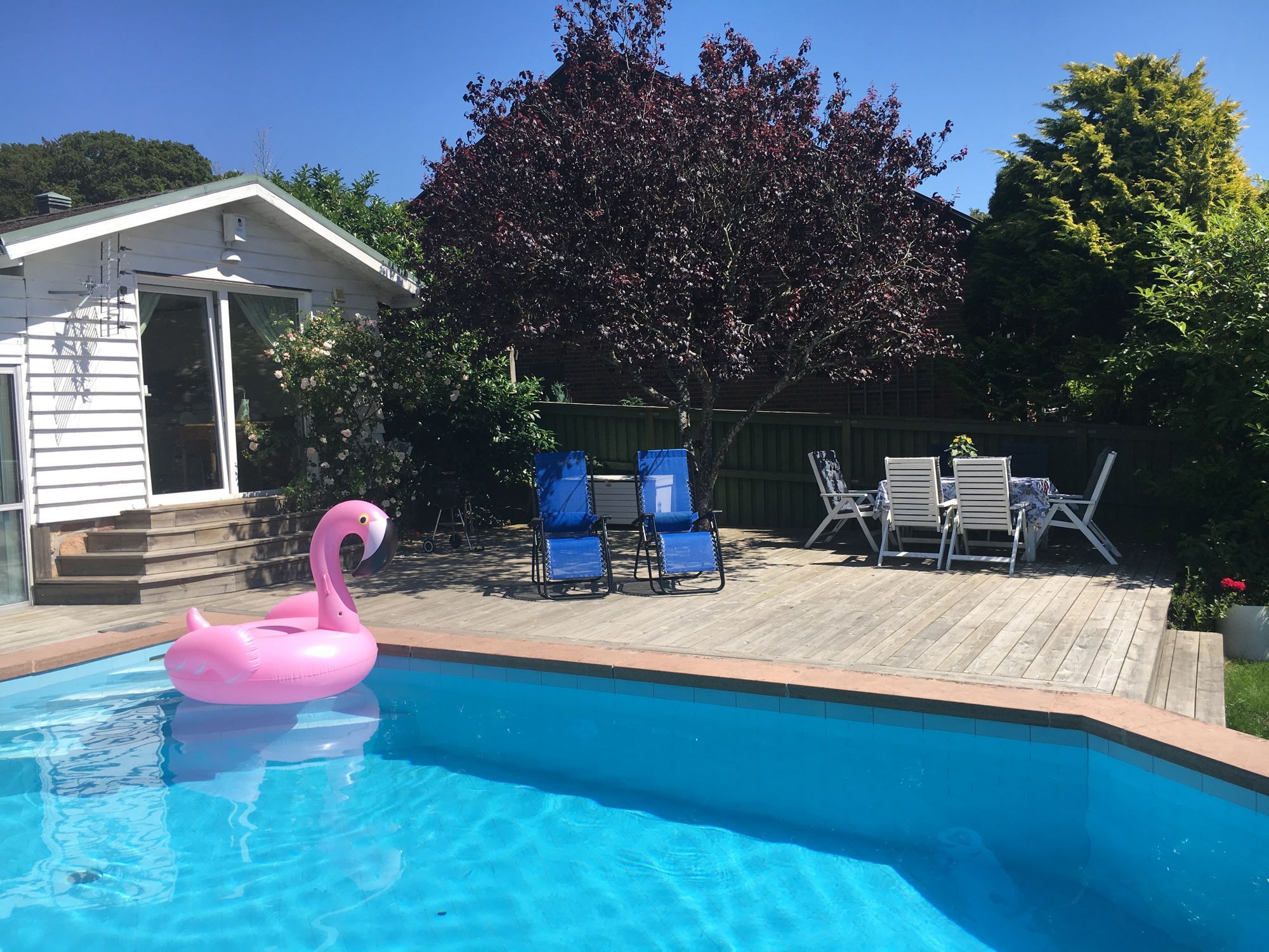 Liten stuga i Mölle med pool