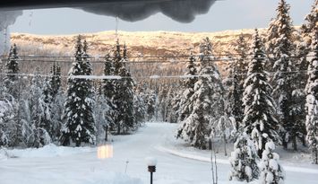Stuga i Funäsdalen