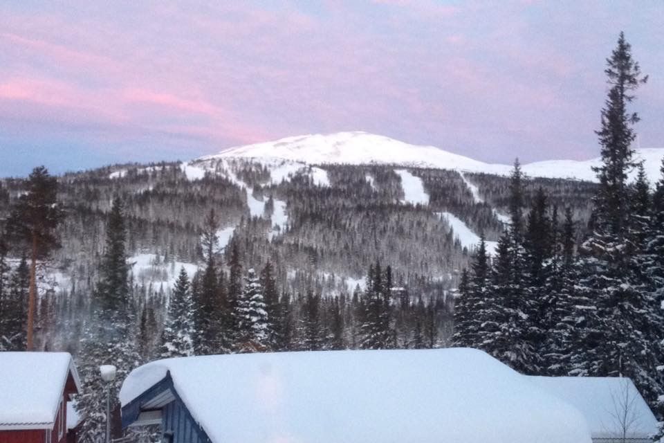Hundvänlig stuga m bastu i Bydalen på Drommen – bild 5 av 11
