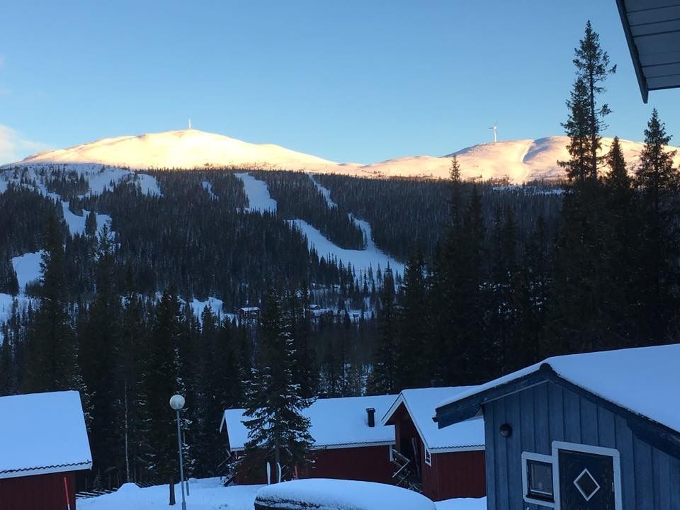 Hundvänlig stuga m bastu i Bydalen på Drommen – bild 7 av 11