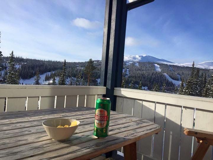 Hundvänlig stuga m bastu i Bydalen på Drommen – bild 6 av 11