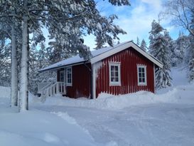 Cosy cottage close to skiing and hiking area