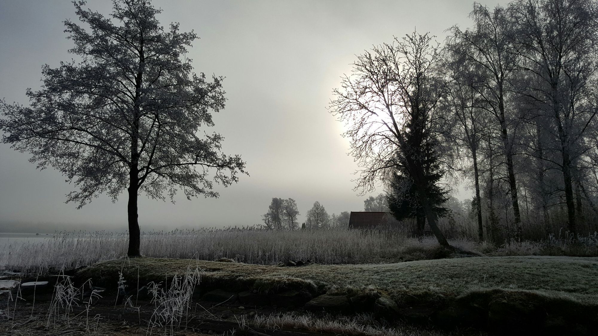 Stuga med bastu/grillplats/Weekend – bild 19 av 24