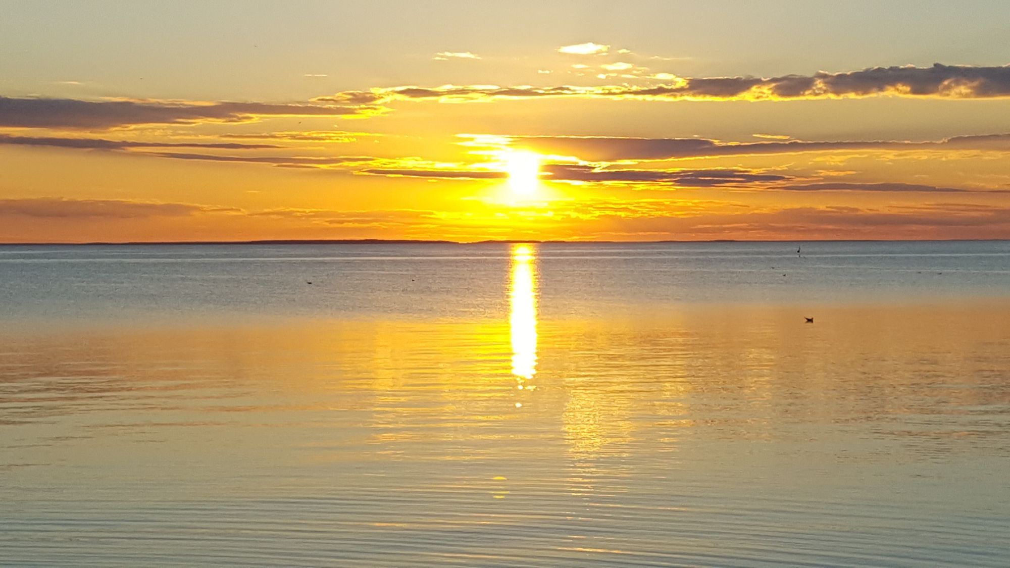 Mysig, fräsch stuga i Djupvik Lofta – bild 11 av 12