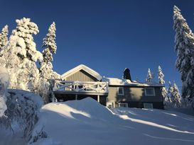 Large cozy family-friendly cottage, close to slope