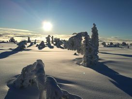 Stuga Hemfjällstangen Sälen