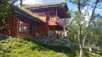 Fantastisk timmerstuga - på fjället