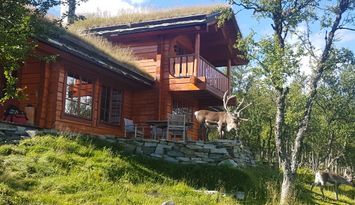 Fantastisk timmerstuga - på fjället-Elbilsladdare