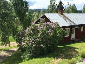 Stuga i vacker jordbruksmiljö uthyres