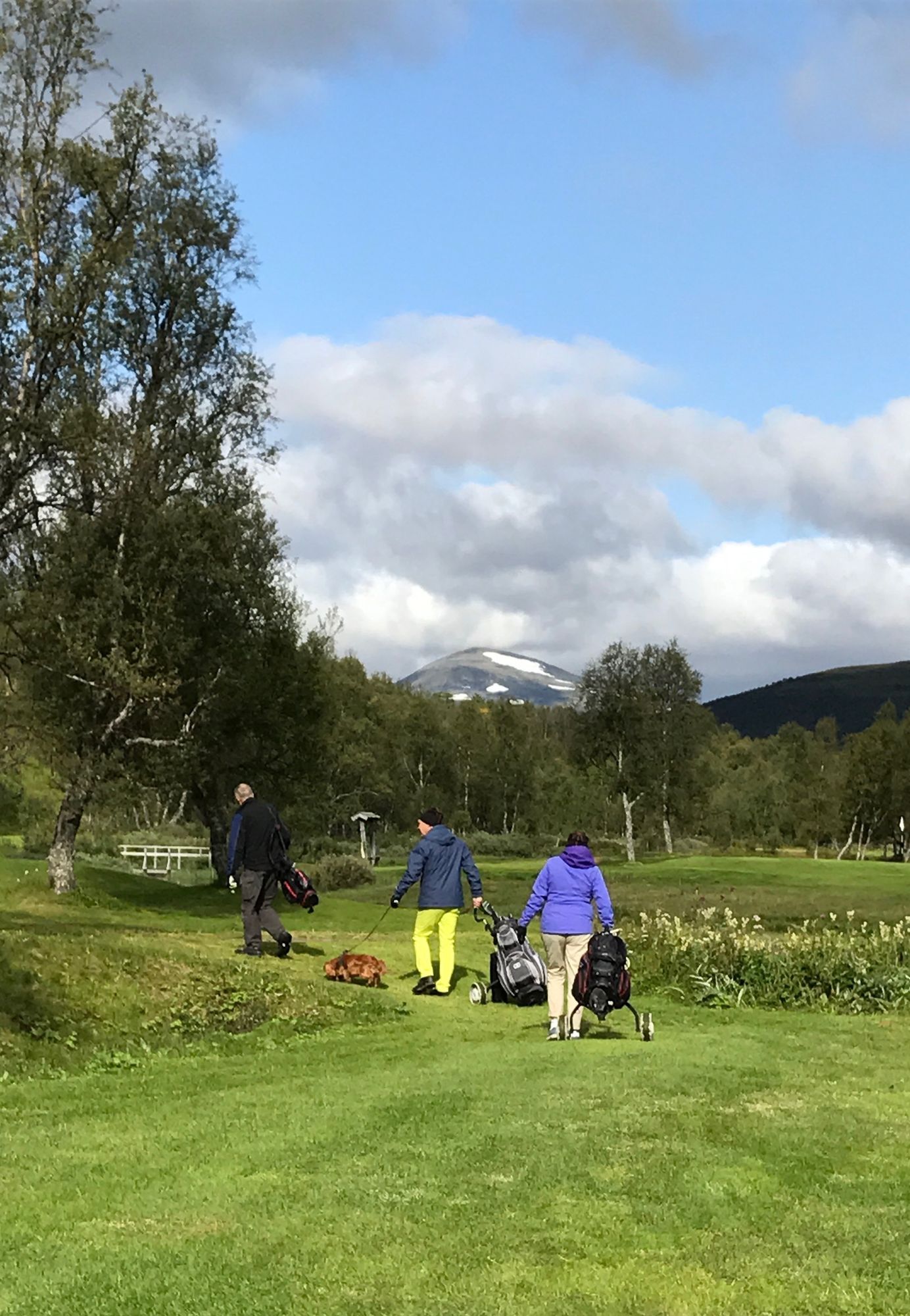 Bästa läget i Bruksvallarna, laddstolpe finns – bild 18 av 22