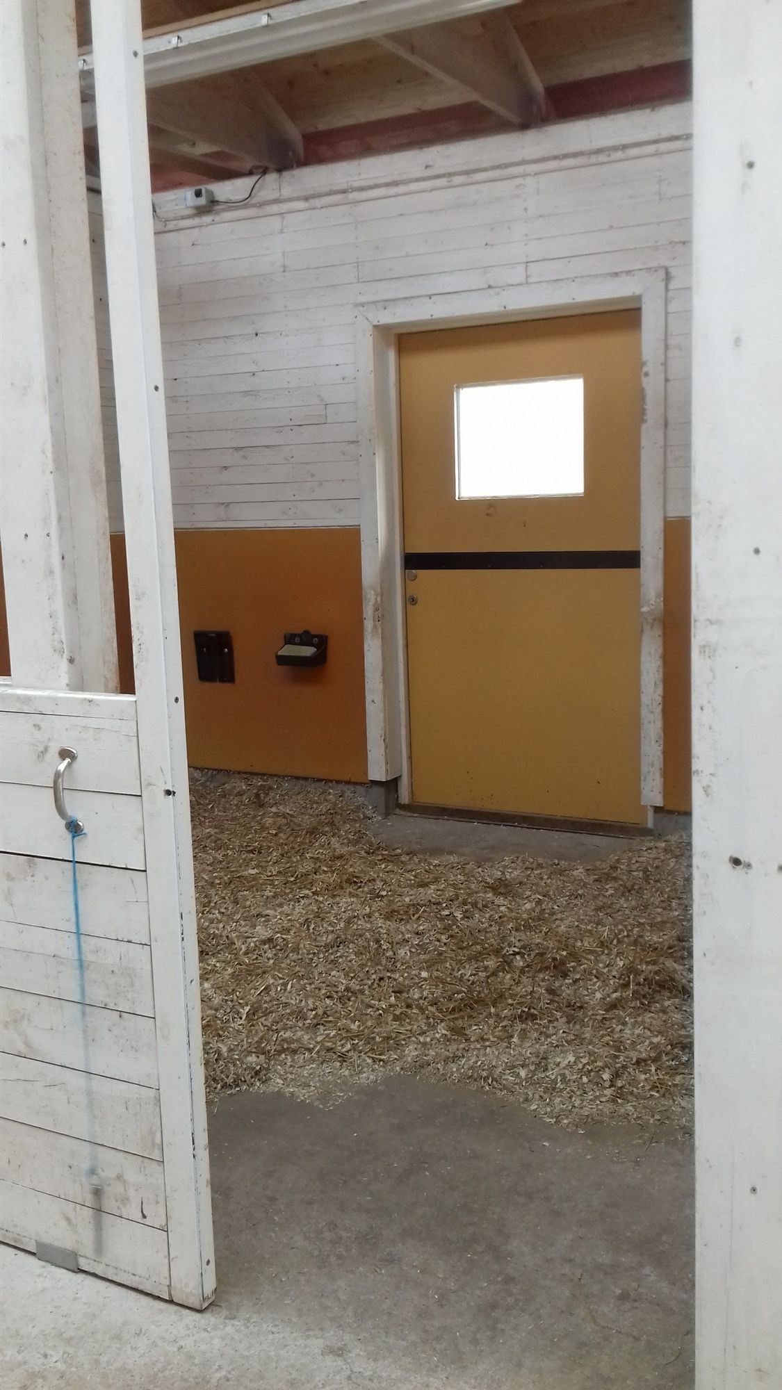 Enkelt boende i charmig cirkusvagn, ta med hästen – bild 8 av 9