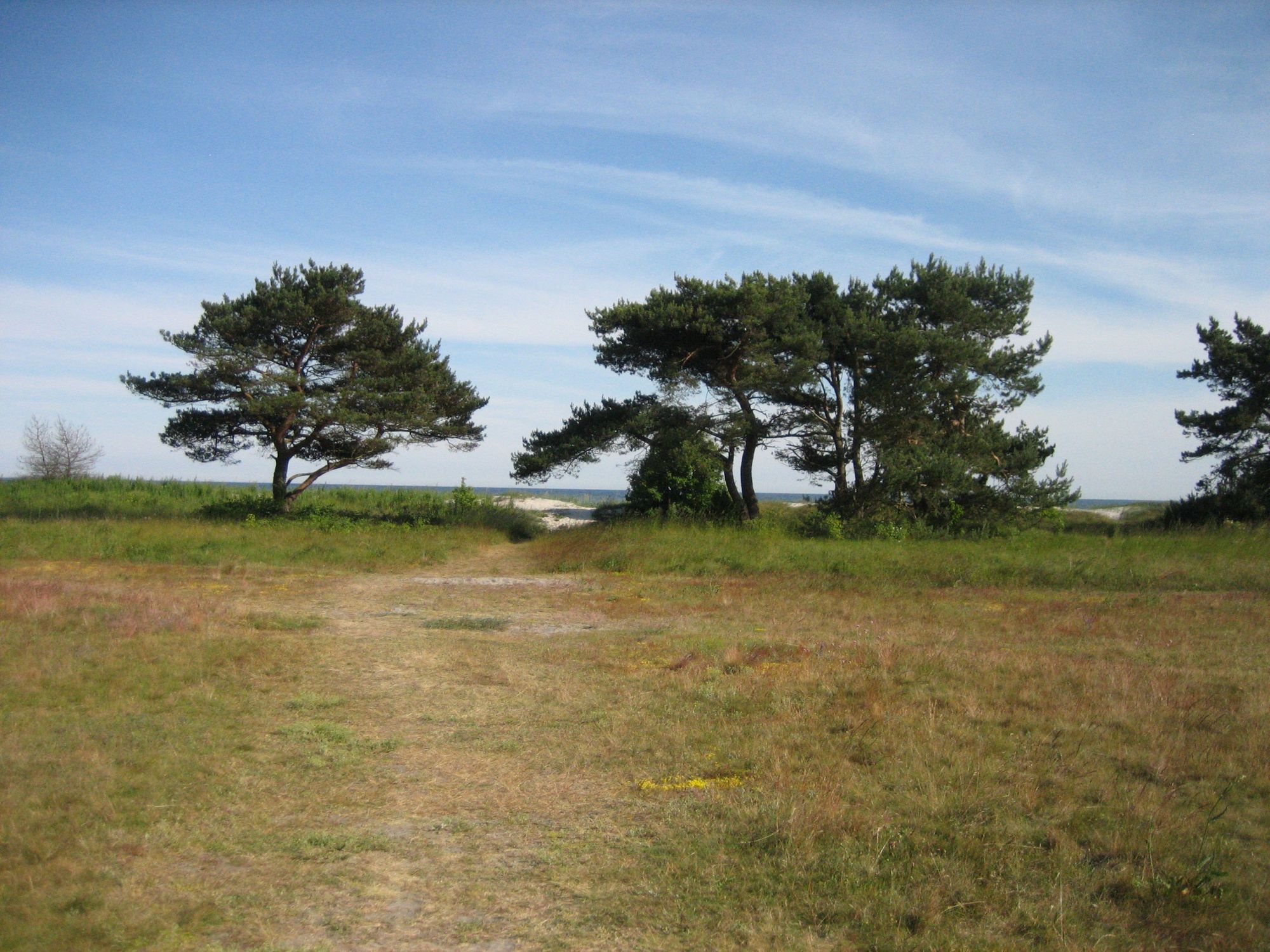 Beddingestrand, Sydkusten, Skåne, Ystad, Smygehamn – bild 24 av 24