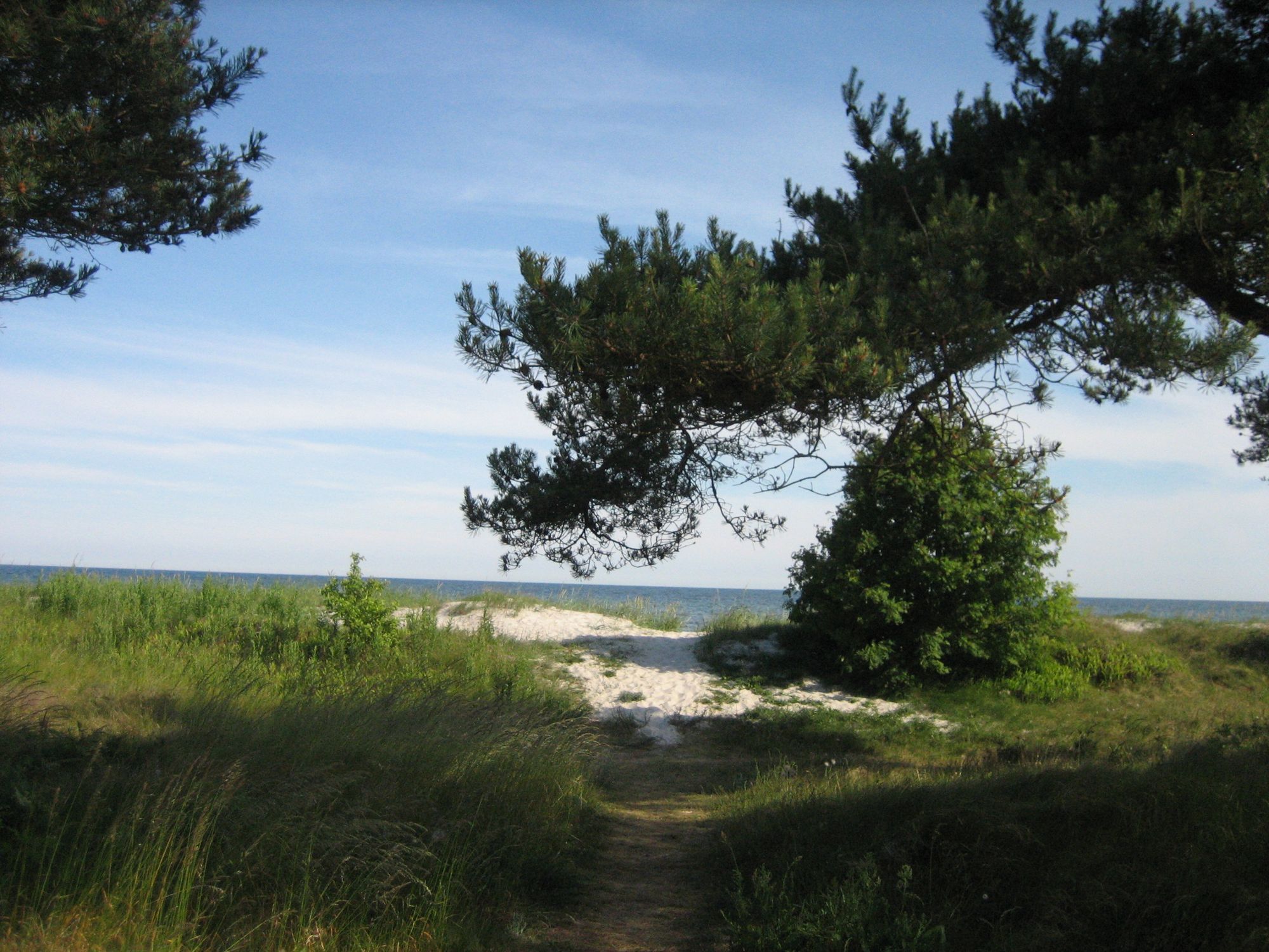 Beddingestrand, Sydkusten, Skåne, Ystad, Smygehamn – bild 21 av 24