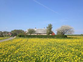 Arild, Kullaberg Kattegattleden Arilds Vingård HL4