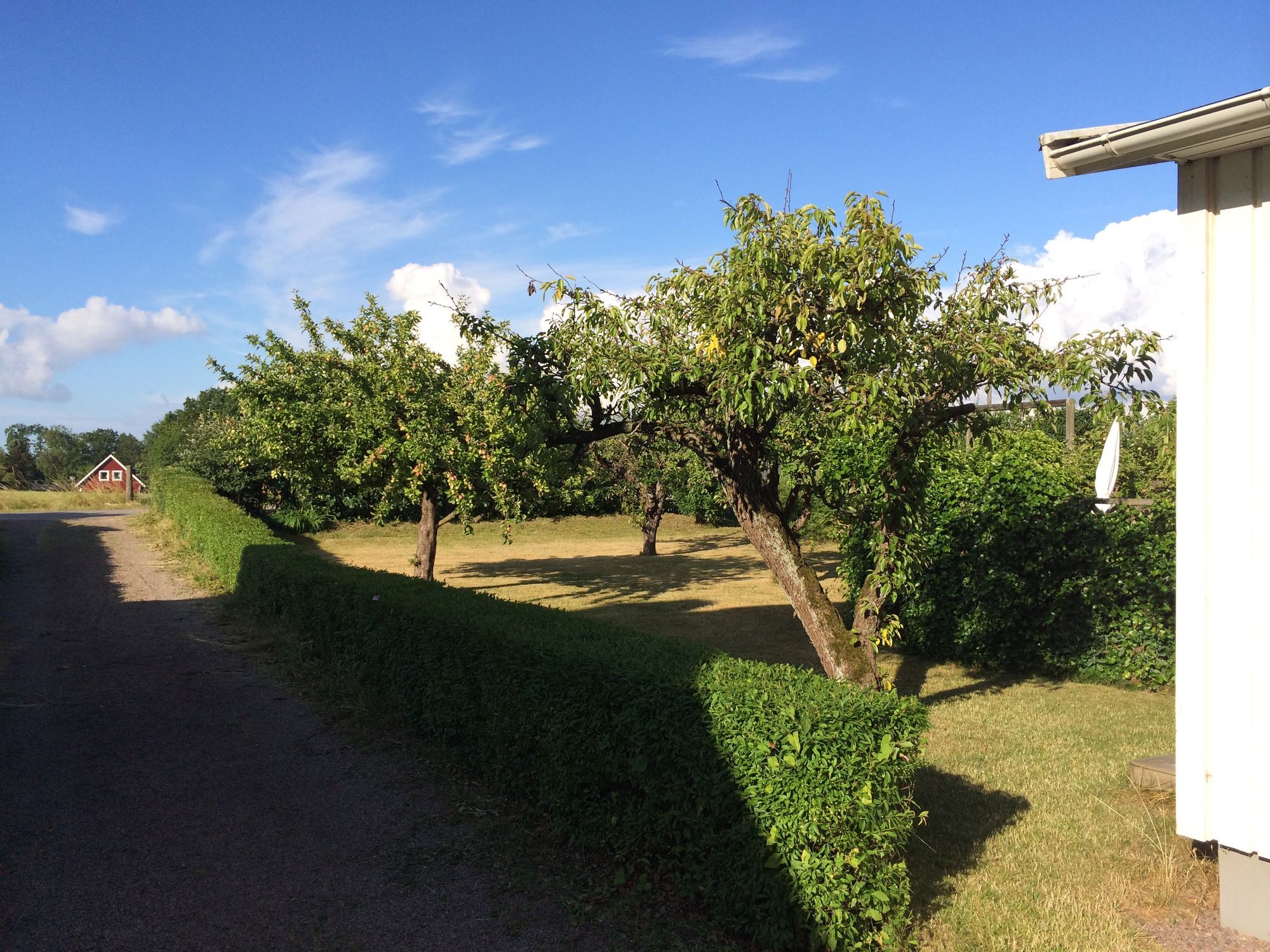 Stuga nära havet vid Vejbystrand/Ängelholm – bild 19 av 24