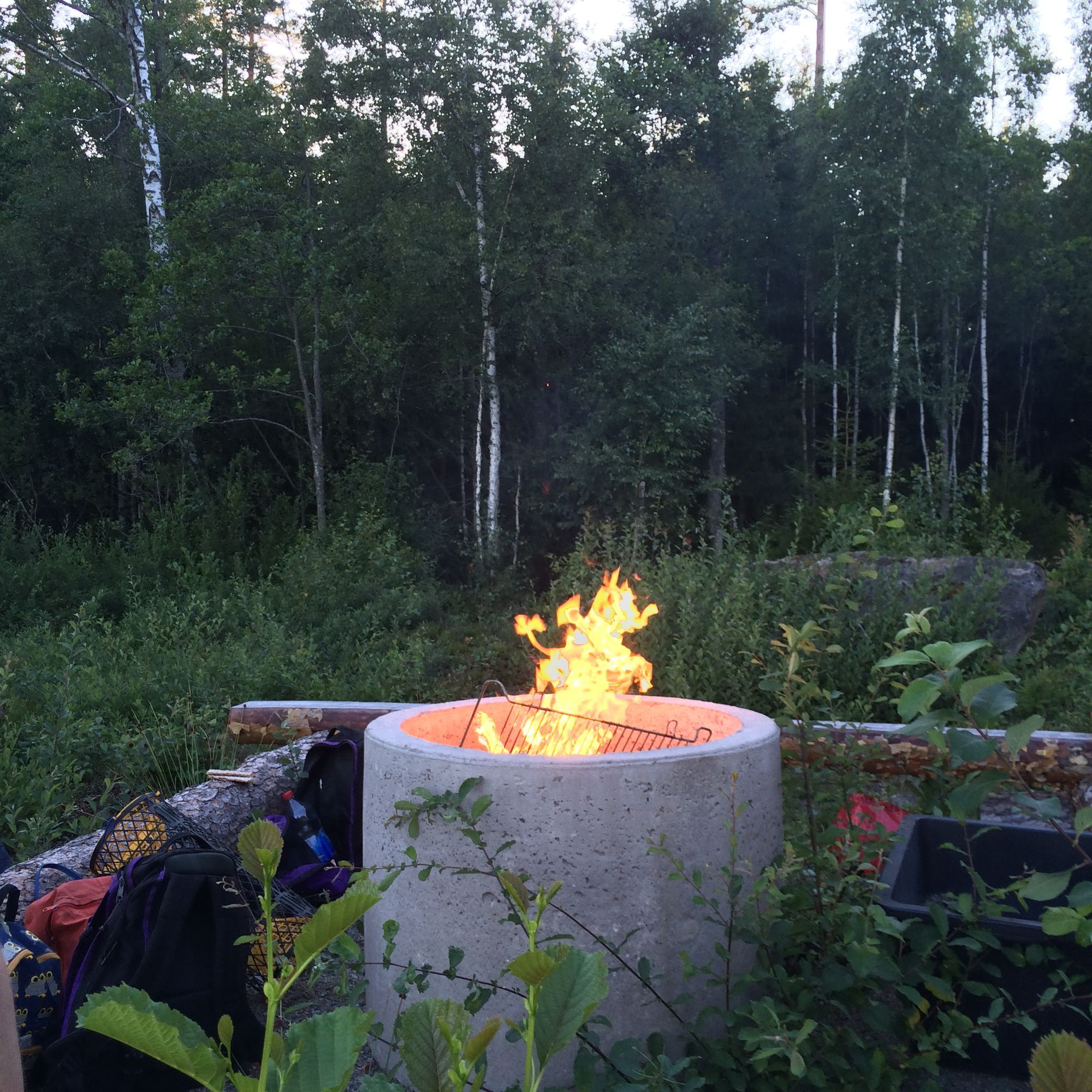 Fiske och skogspromenader mitt i Glasriket. – bild 9 av 11