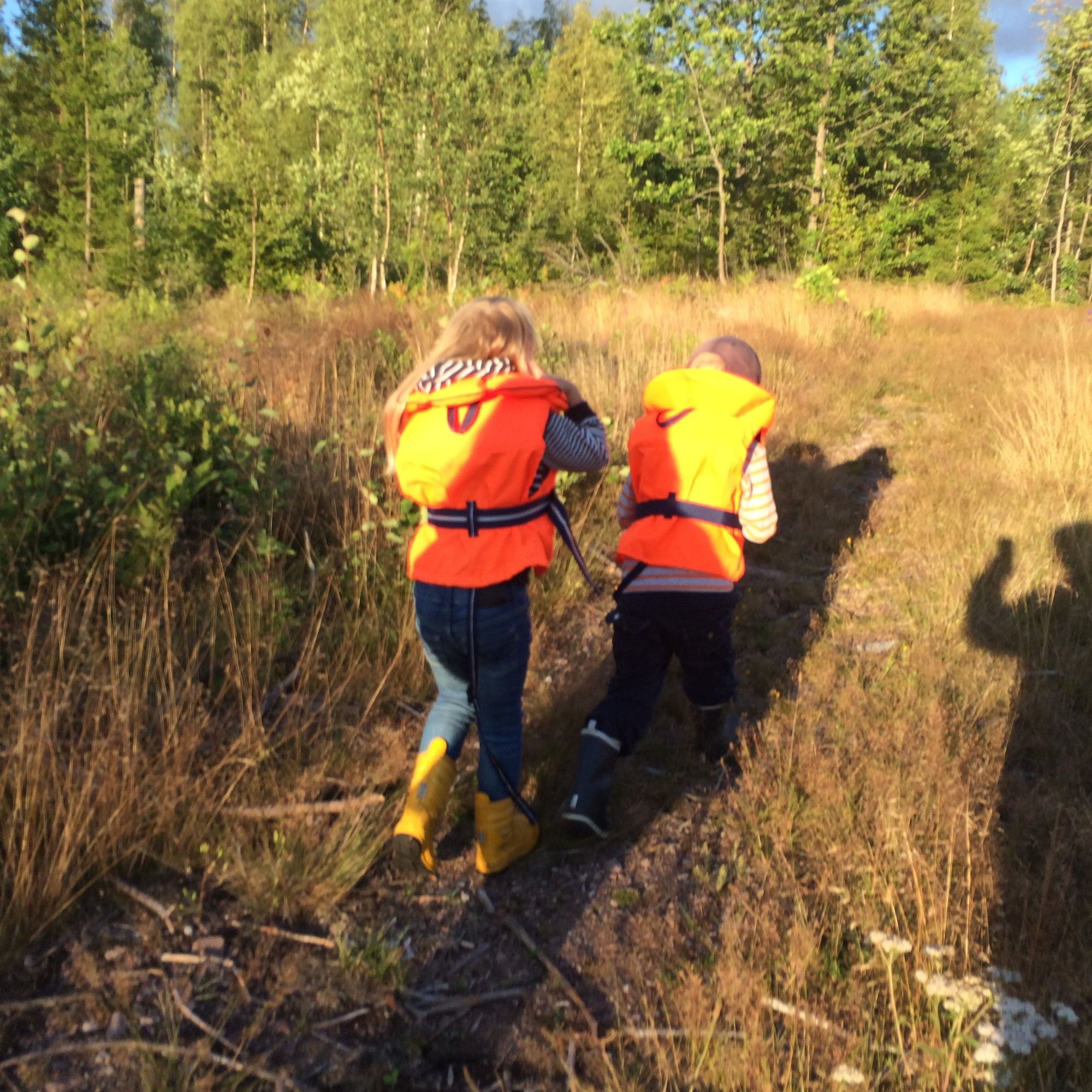Fiske och skogspromenader mitt i Glasriket. – bild 6 av 11