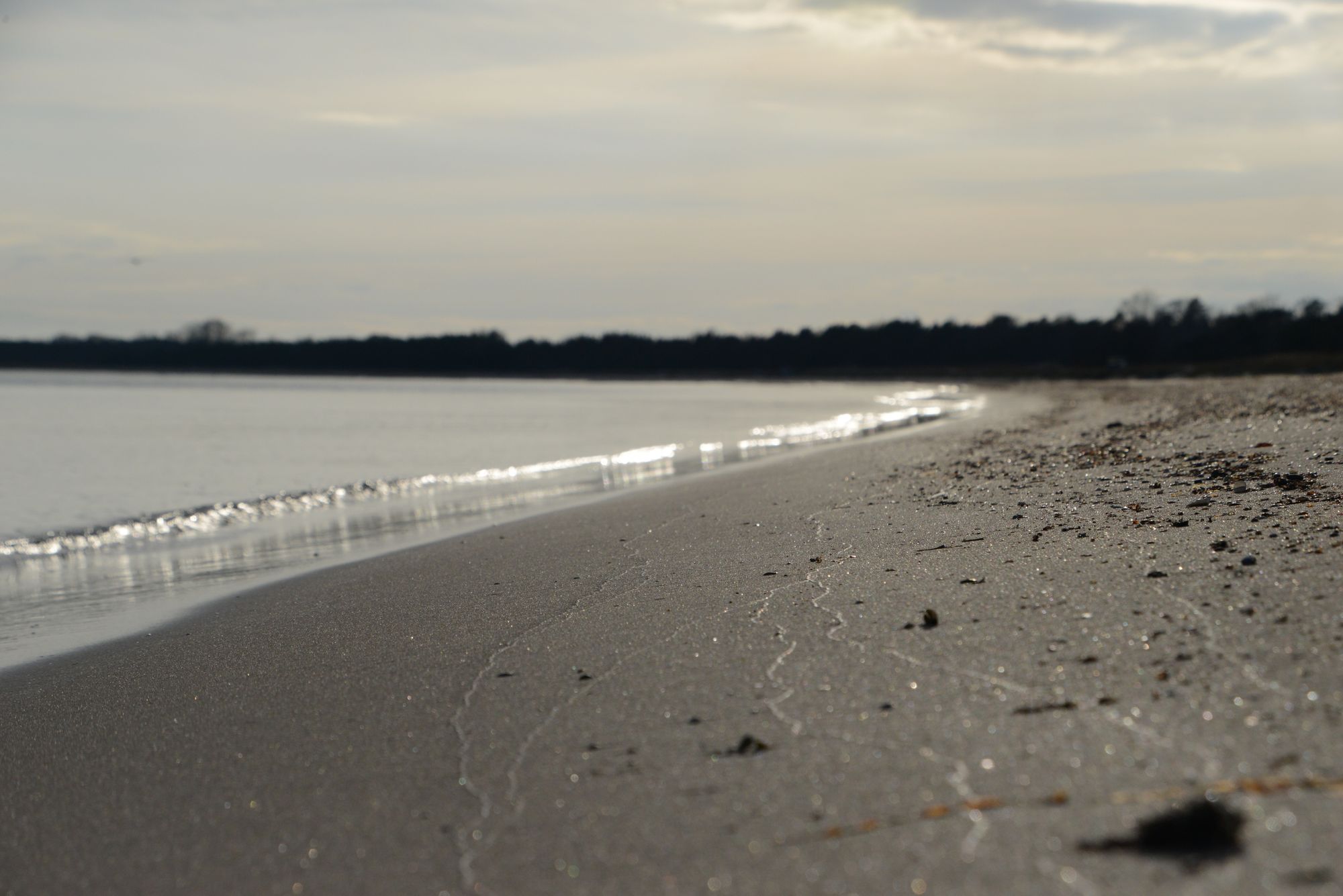 Tofta strand - Gotland – bild 18 av 21