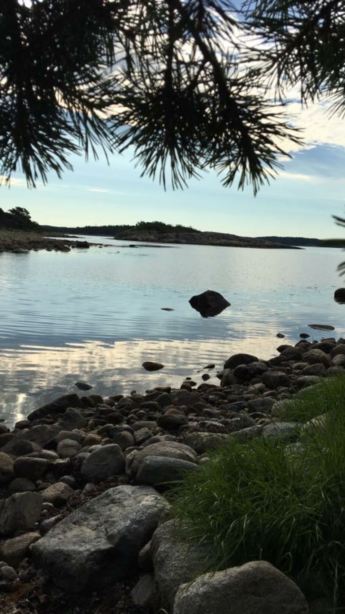 Saltö med natur och bad i Kosterhavet – bild 13 av 16