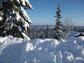 Ski in Ski out. Perfekt för skidåkning Lindvallen