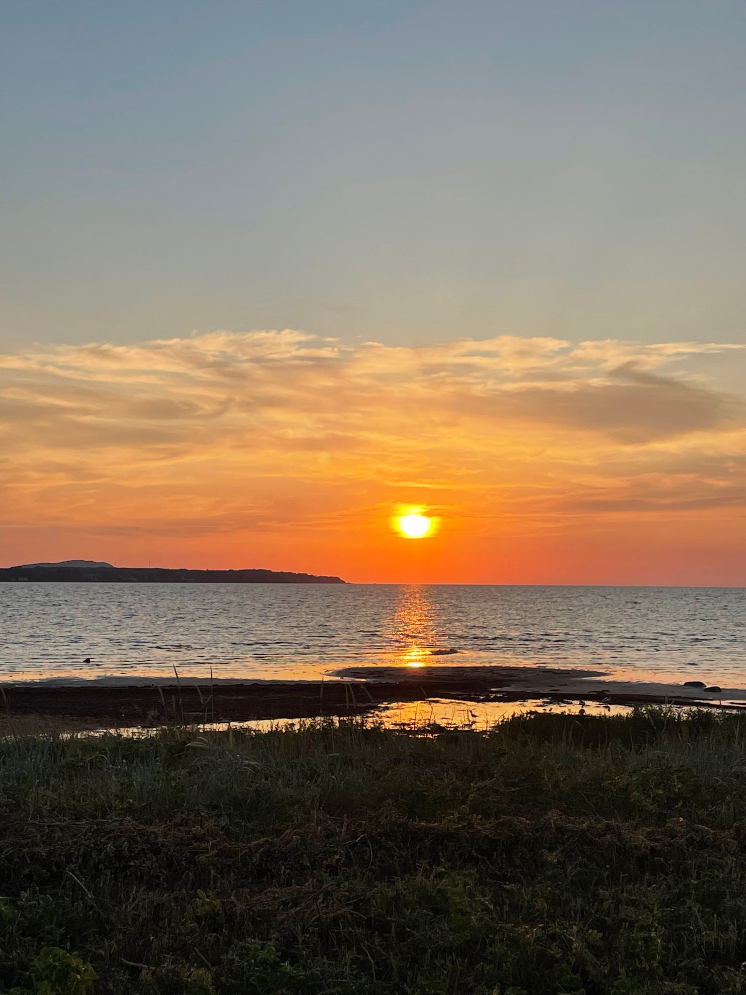 Fin natur, nära havet,barnvänlig strand, fridfullt – bild 24 av 24