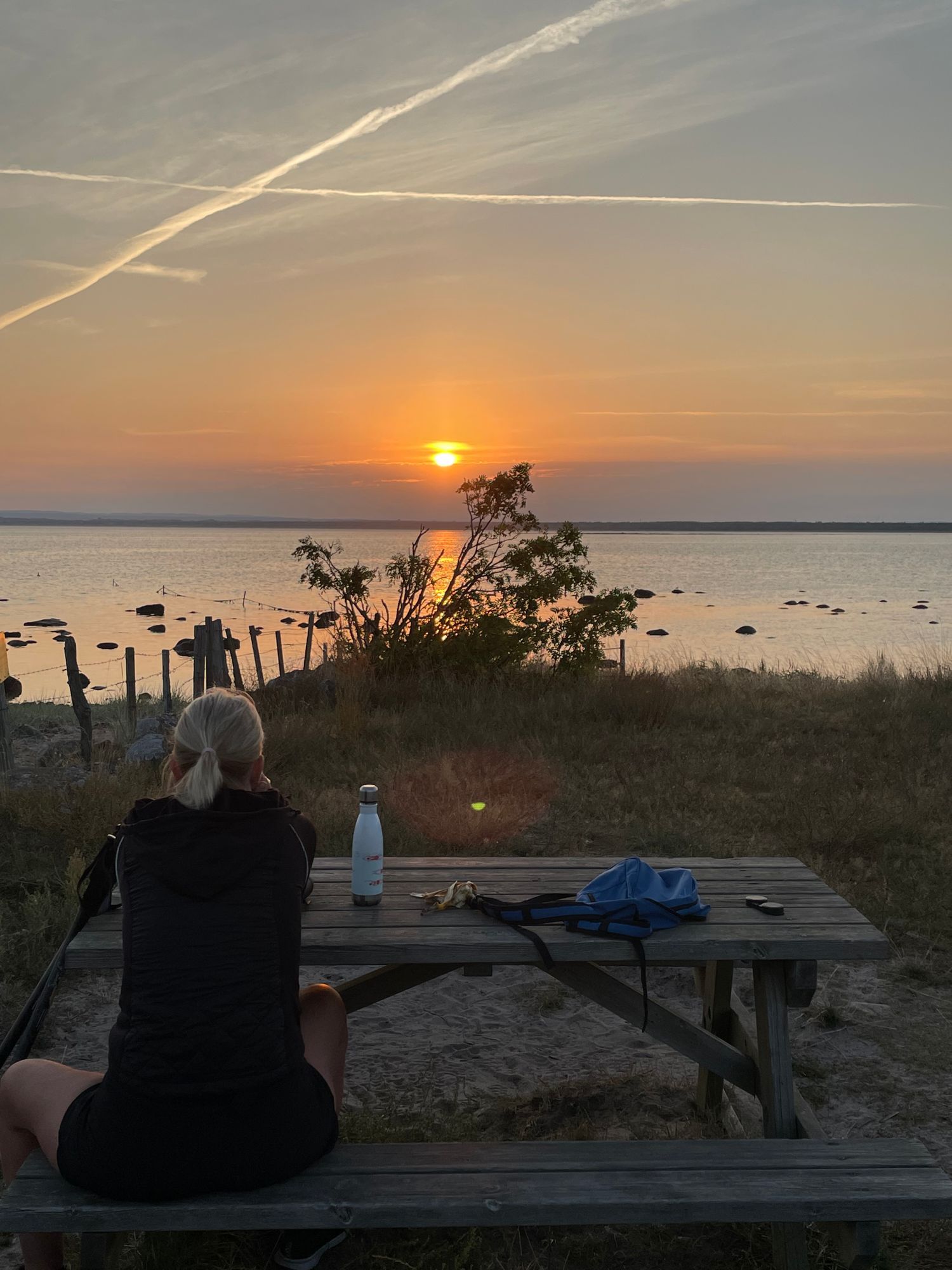Fin natur, nära havet,barnvänlig strand, fridfullt – bild 23 av 24