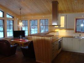 TÄNNDALEN New mountain cabin spacious, homely