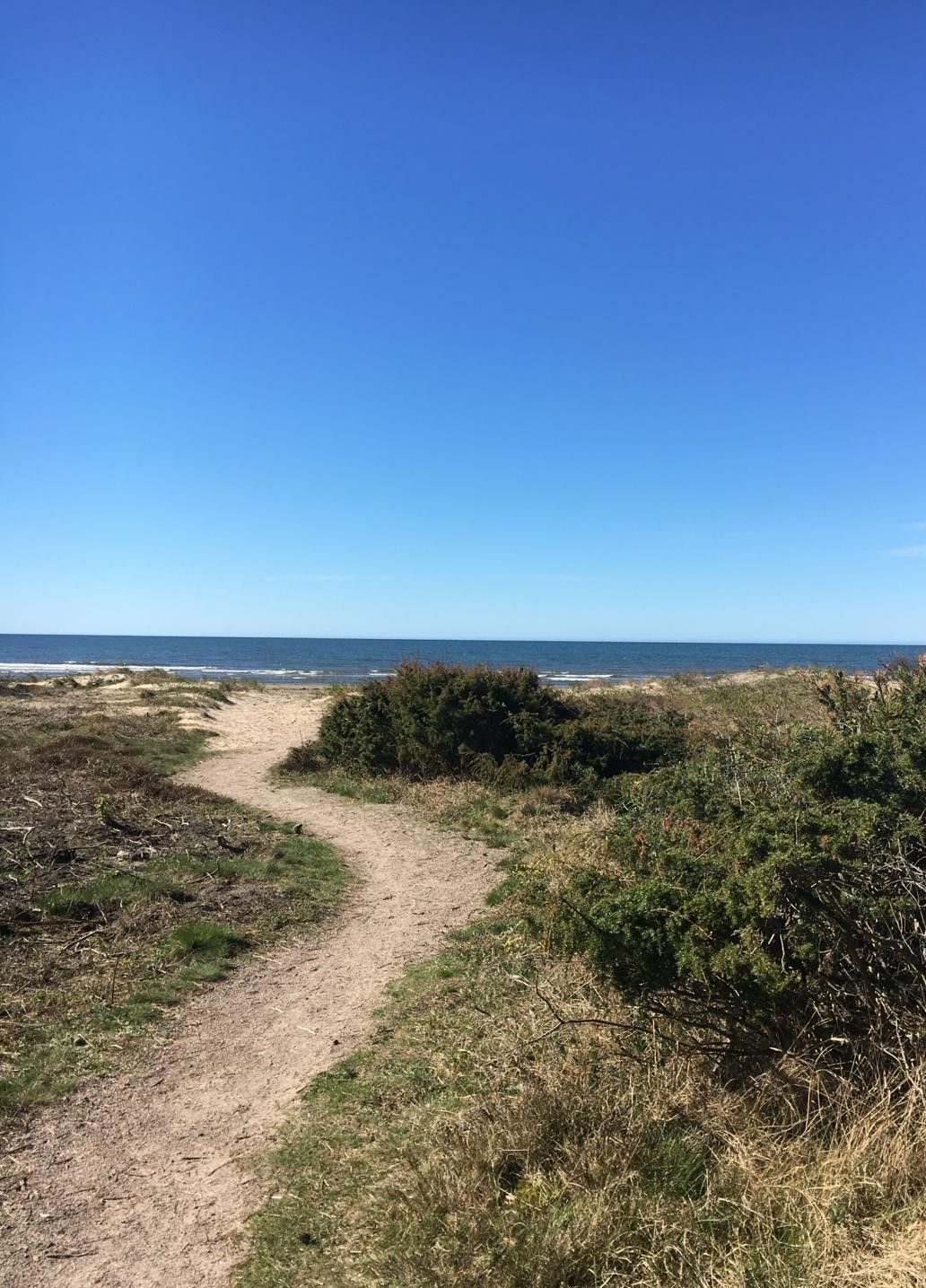 Haverdal 100 m till stranden – bild 22 av 22