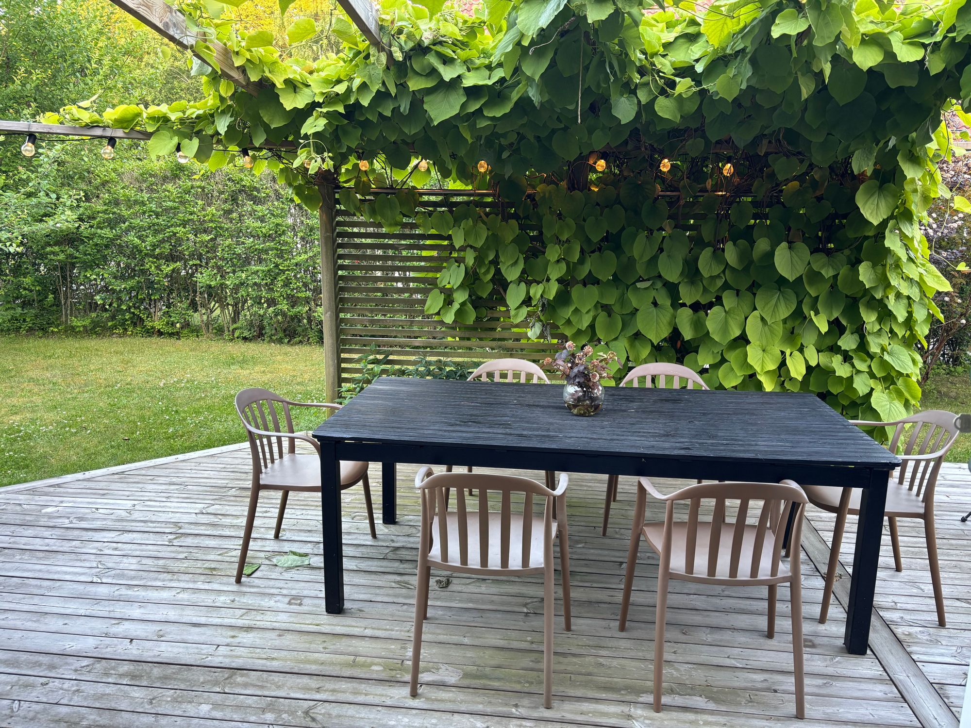 Hus nära skog och hav – bild 20 av 20