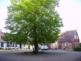 Reizendes Hofgebäude in der Kulla-Landschaft