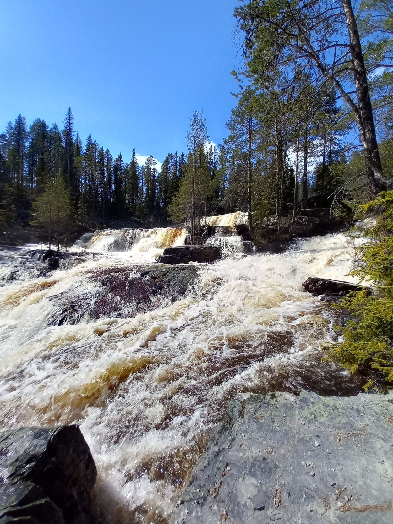 Andåsen - breath of nature(sauna, fireplace, lake) – bild 14 av 24