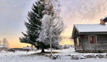 Unikt 1800-tals timmerhus med vedeldad bastu