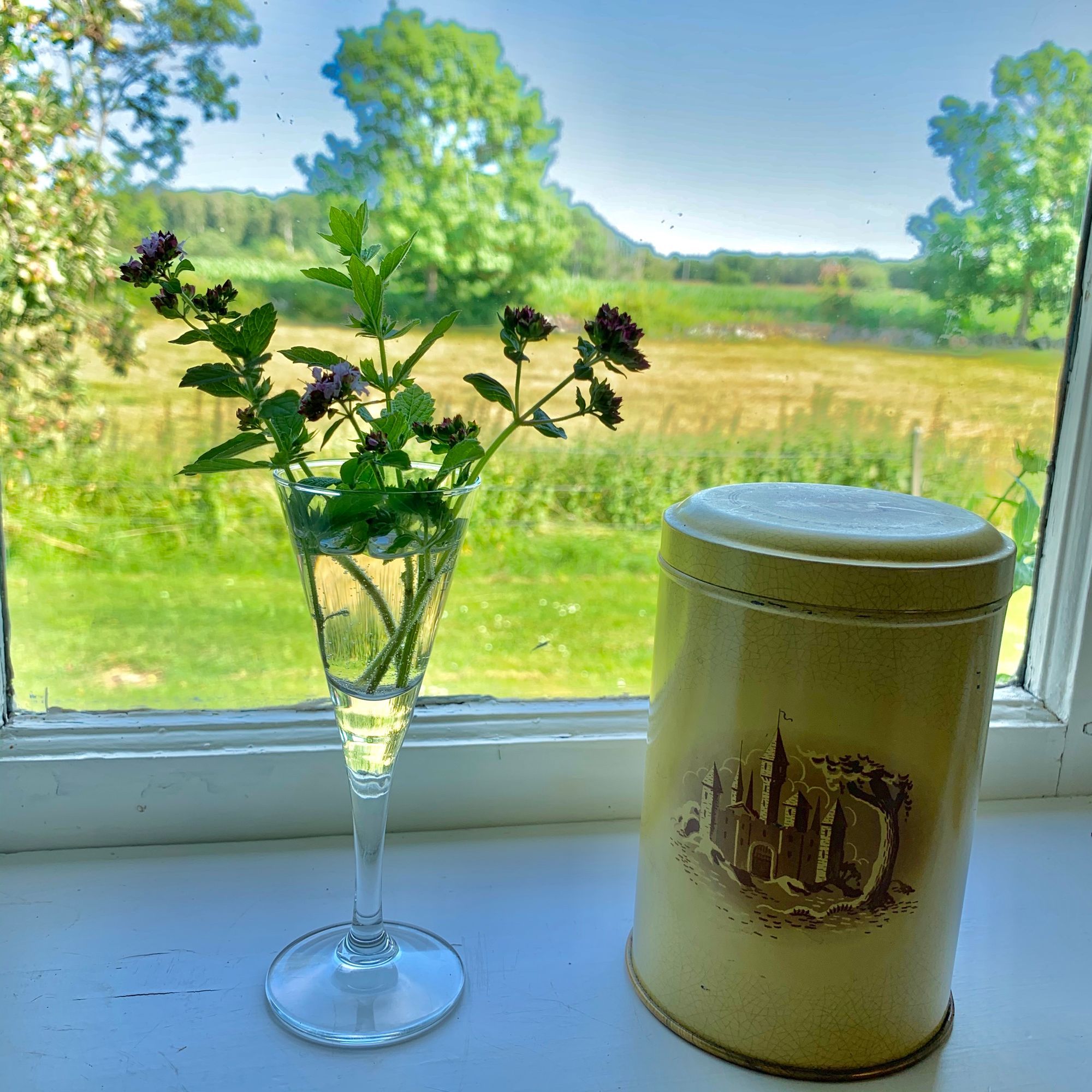 Böda, Östra Alvara, – bild 12 av 24
