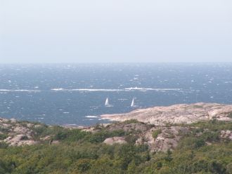 Strandnära stuga på Tjörn – bild 4 av 23