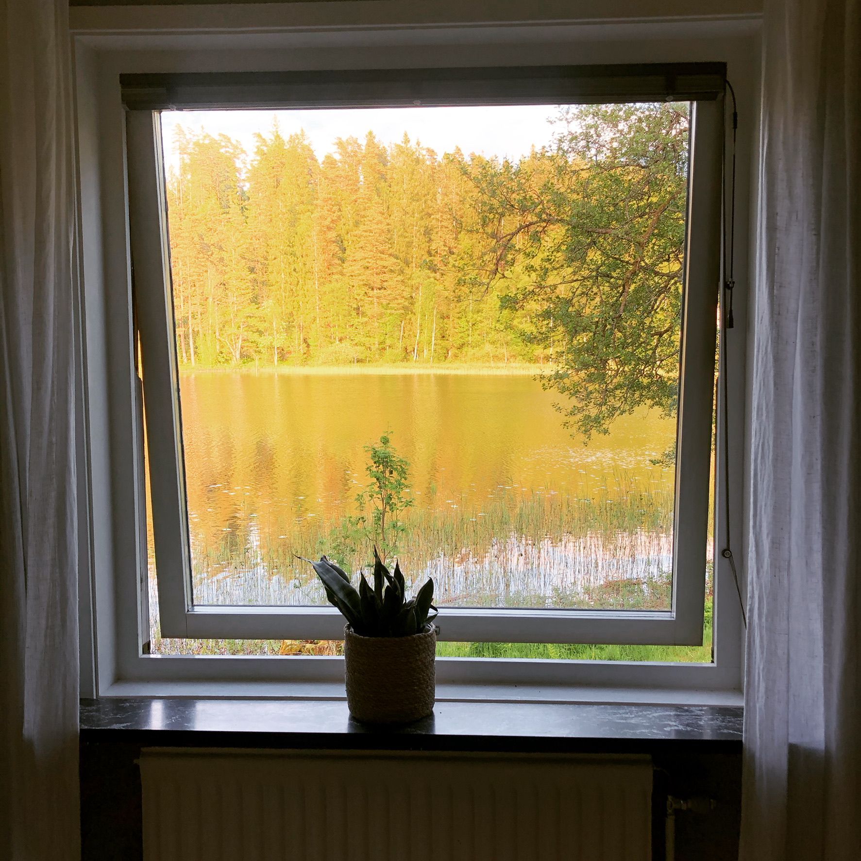 Udden – bild 13 av 24