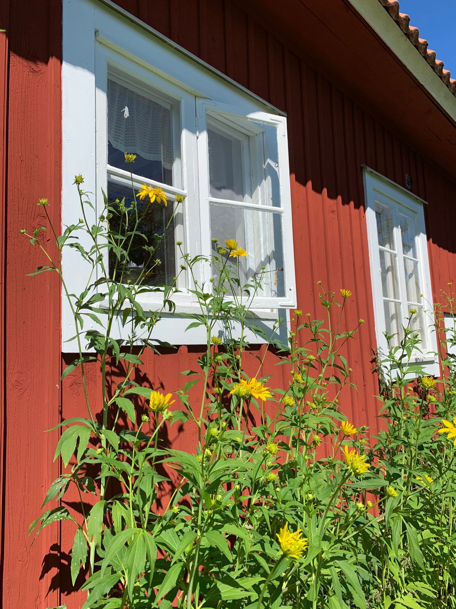 Böda, Östra Alvara, – bild 3 av 24