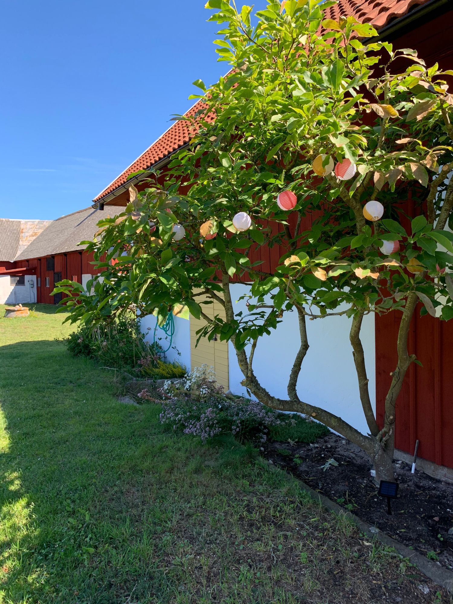 Böda, Östra Alvara, – bild 5 av 24