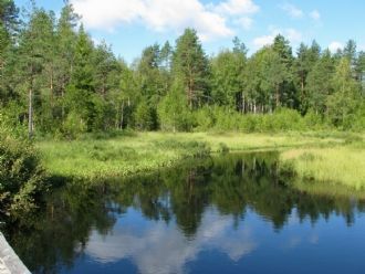 Torpet  nära sjön Sandsjön – bild 8 av 13