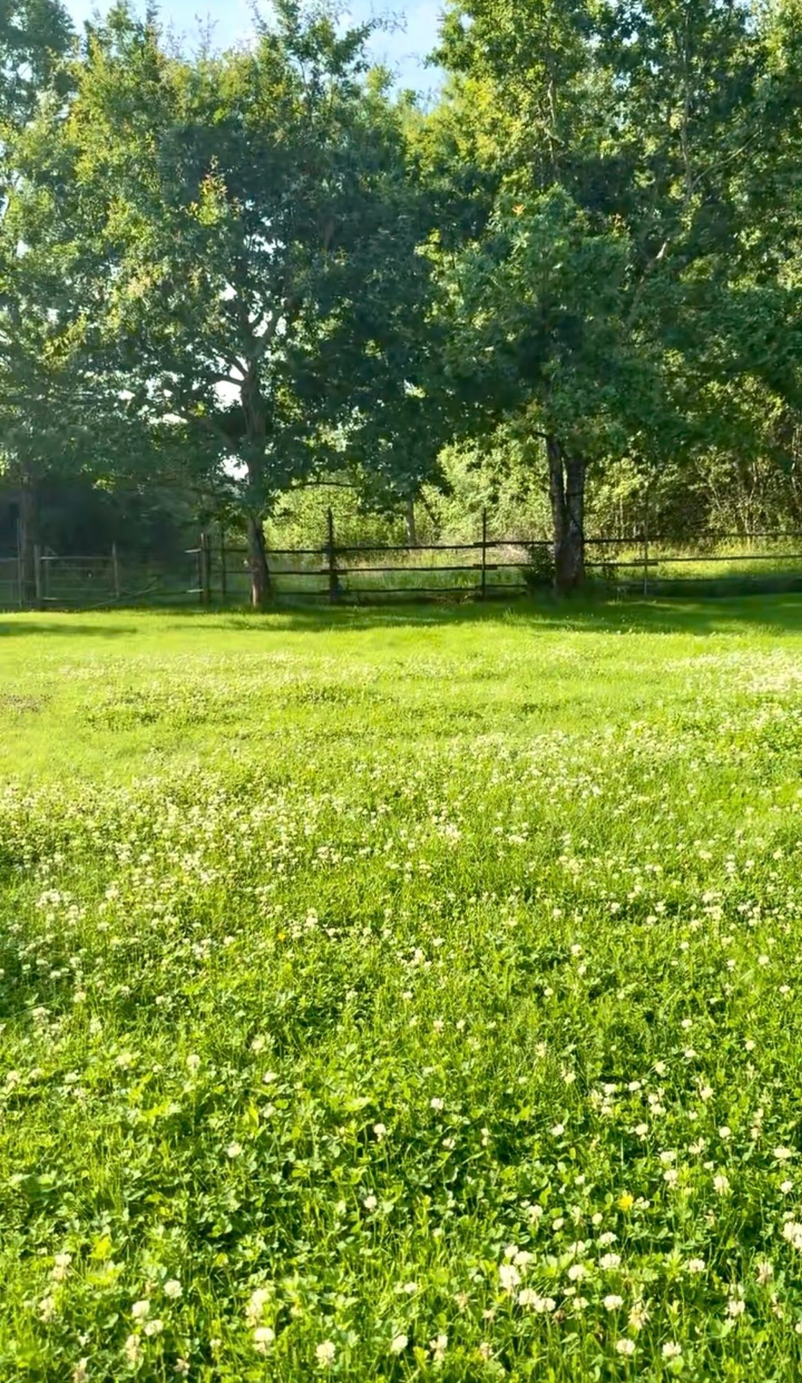 Stort hus i härlig Mälby – bild 20 av 22