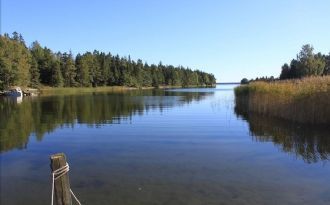 Stuga med sjötomt på Arholma