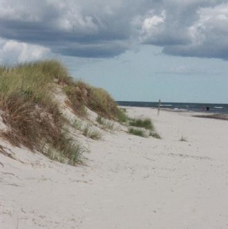 Österlen: Sommarhus vid Sandhammarens strand – bild 13 av 14