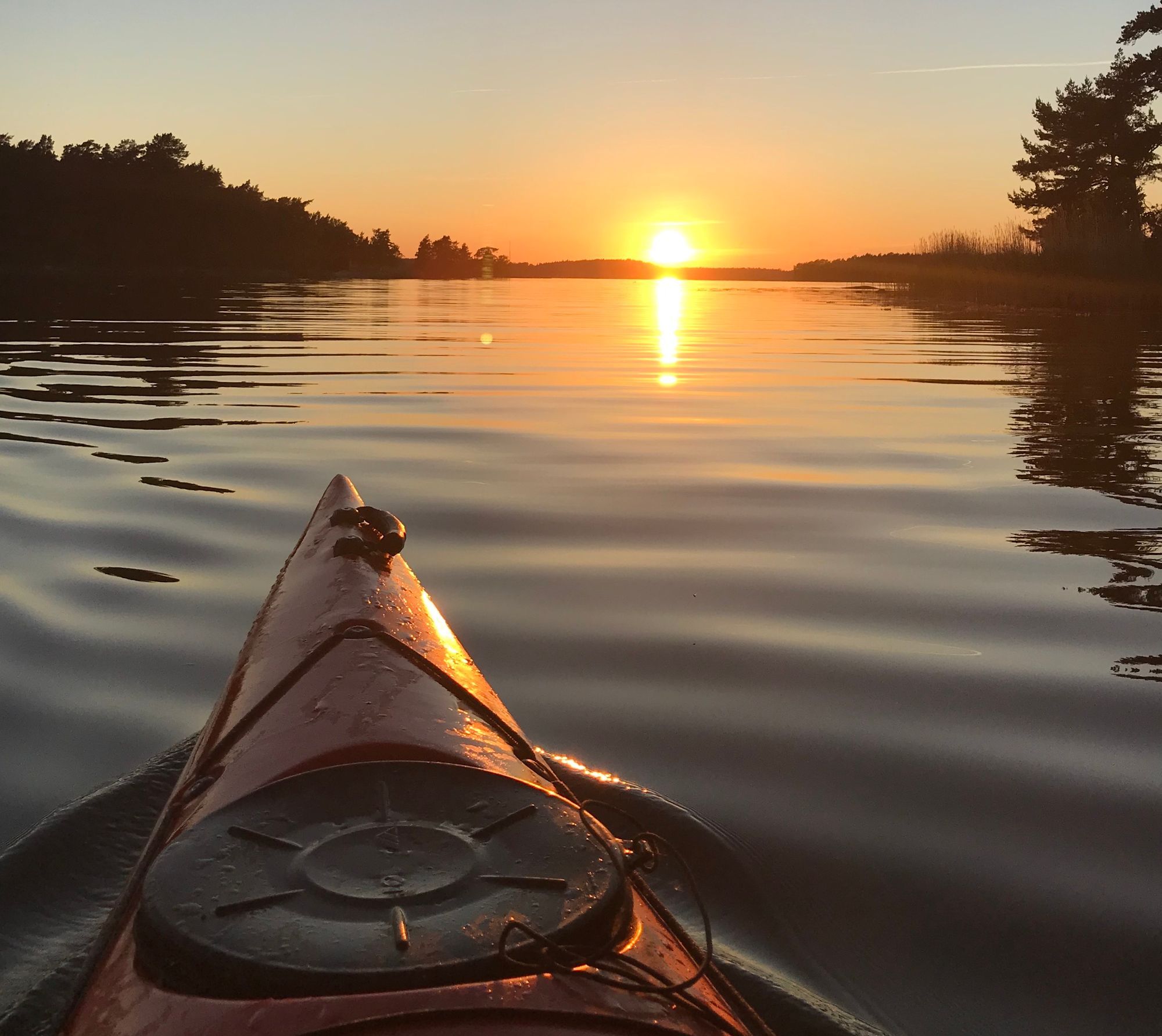 Sjöställe på mindre ö mitt i Stockholms skärgård! – bild 14 av 19