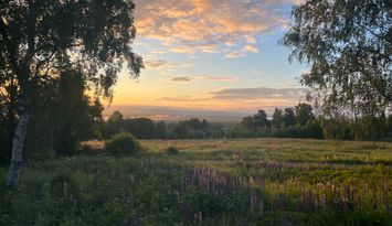Stuga med vy i fina Skattungbyn