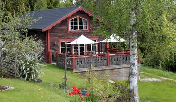 Rymlig timmerstuga mitt i naturen