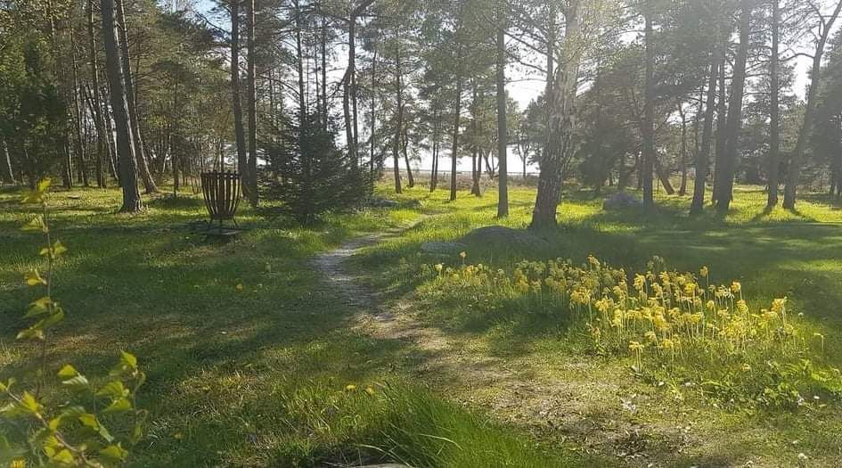 Villa med sjösutsikt, Björkhaga, Gotland – bild 16 av 24